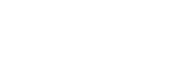 Insan